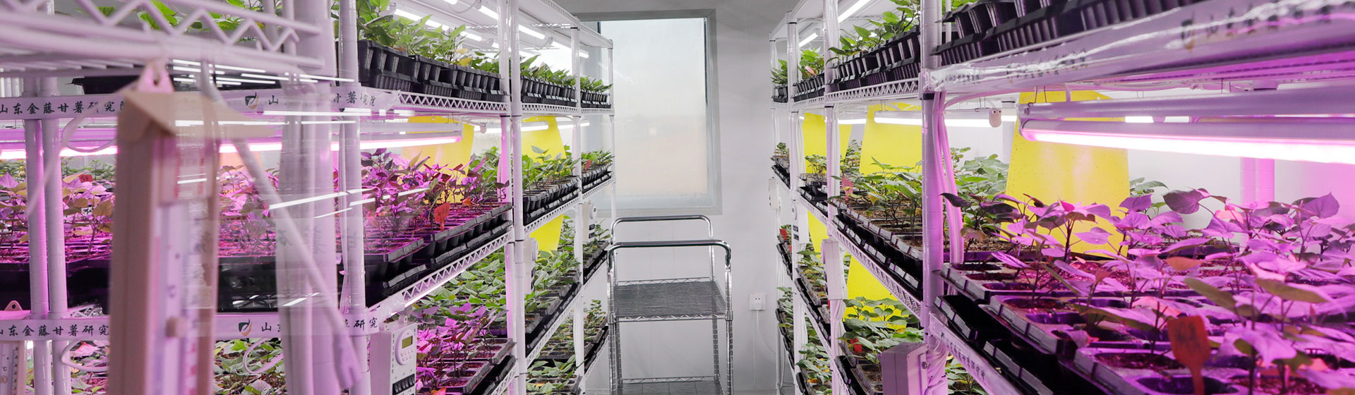 資質(zhì)榮譽(yù)