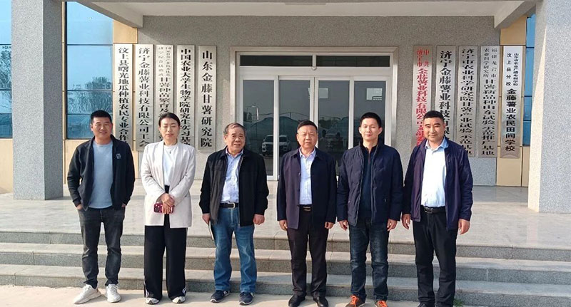 甘薯專委會(huì)組織甘薯苗期調(diào)研，制定苗期管理意見