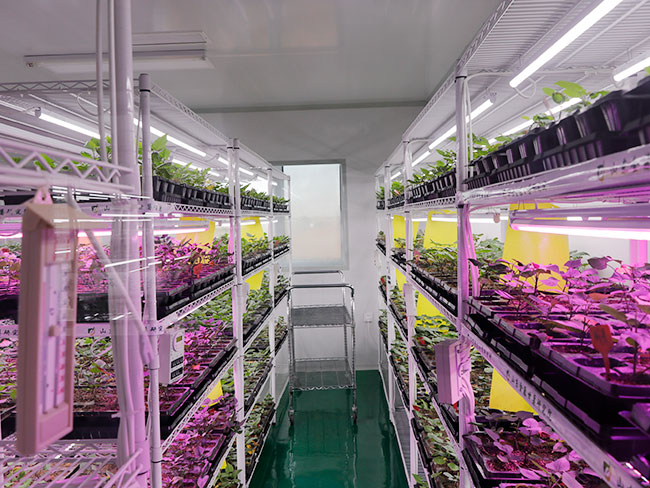 實(shí)驗(yàn)室