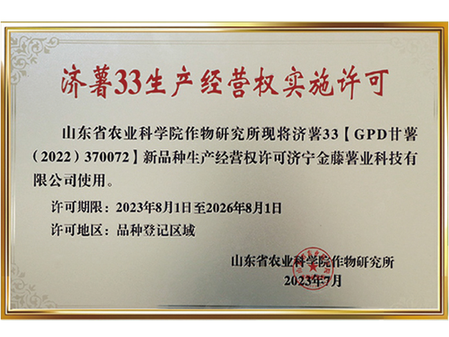 濟薯33生產(chǎn)經(jīng)營權實施許可